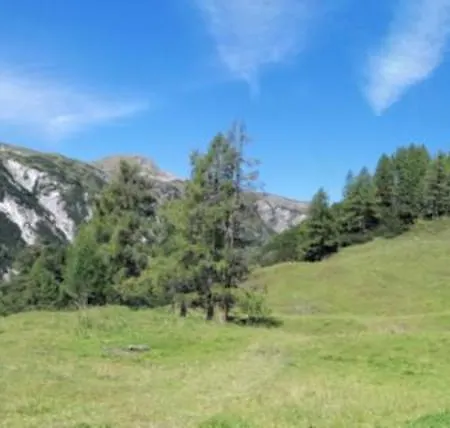 Guglhof Daire Mariapfarr