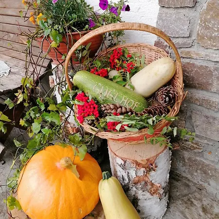 Guglhof Apartamento *