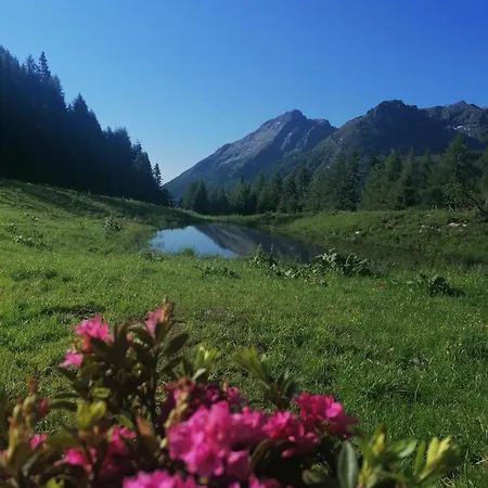 Guglhof Appartement Mariapfarr