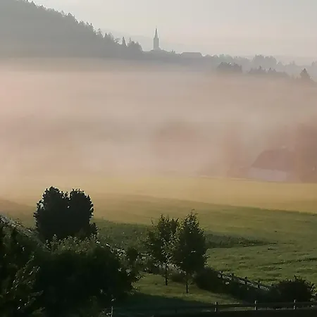 Guglhof Appartement Mariapfarr