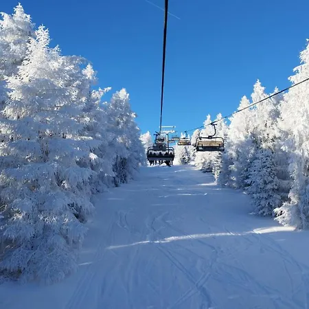 Guglhof * Mariapfarr